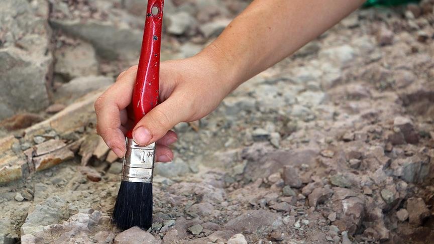Kanada’da 508 milyon yıllık solucan fosilleri bulundu