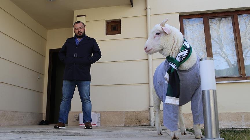 ‘Kuzu Alex’ sosyal medyada ilgi görüyor