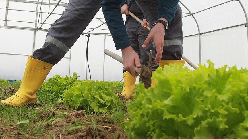 87,2 milyon avroluk hibeye başvurular başladı