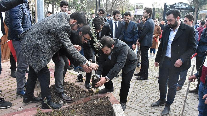 Şeyh Edebali Türbesi’nin bahçesine ‘zeytin dalı’ diktiler
