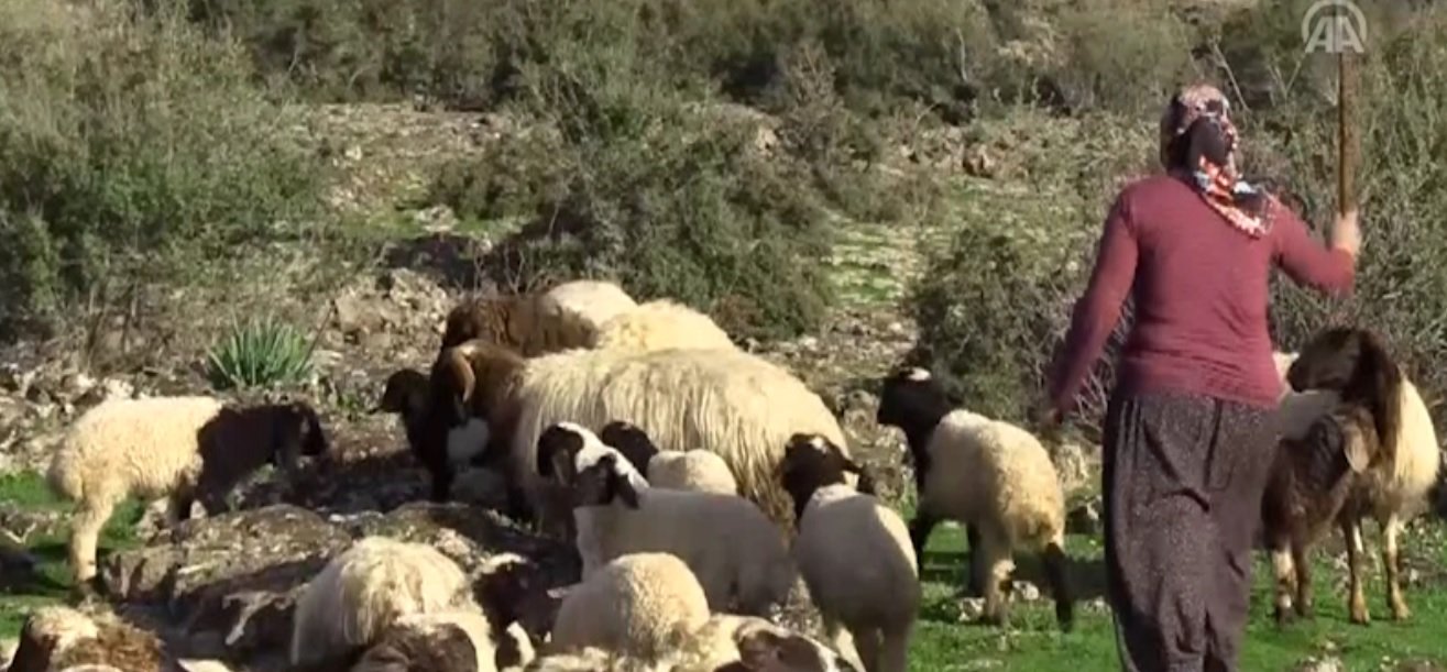 Sınır hattında yörük kültürünü yaşatıyorlar