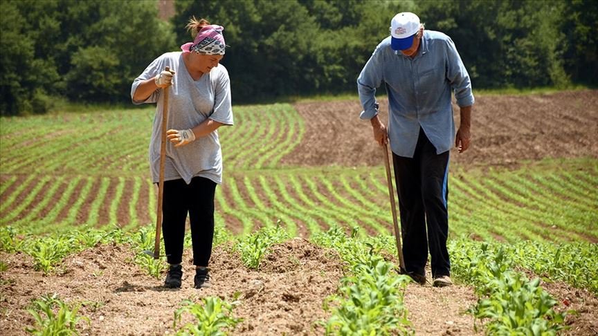 Büyükşehirden uzaklaşmak isteyen çift ‘doğaya dönüş’ için Bilecik’i seçti