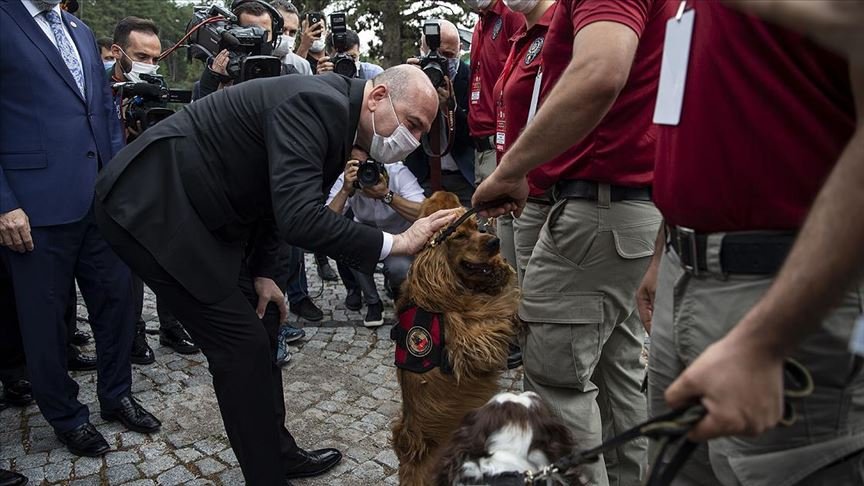 İçişleri Bakanı Soylu: Yakalamaların yüzde 46’sı narkotik köpekleri marifetiyle gerçekleştirilmiştir