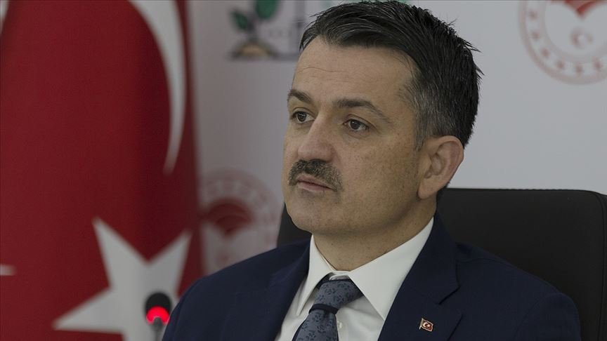 Pakdemirli’den İzmir, Uşak, Denizli ve Bursa’daki orman yangınlarına ilişkin açıklama
