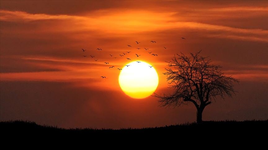 Temmuz ayı, Kuzey Yarımküre’de ‘en sıcak ay’ olarak kayıtlara geçti