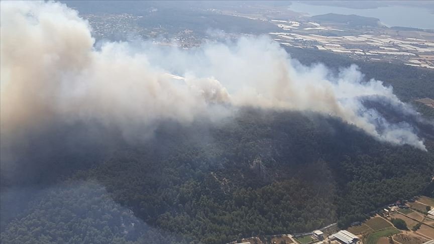 İzmir’in Menderes ilçesinde orman yangını çıktı