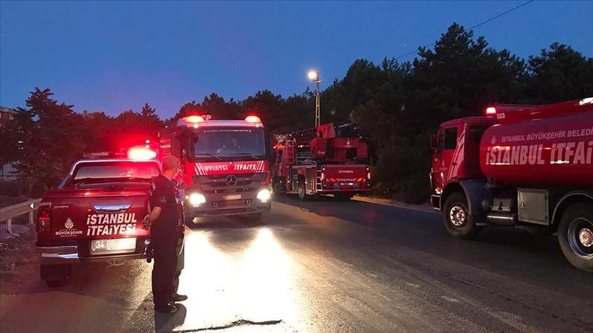 İstanbul’da orman yangını