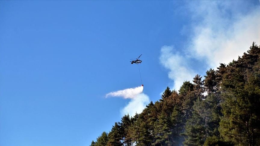 Kahramanmaraş’ta çıkan orman yangınına havadan ve karadan müdahale ediliyor