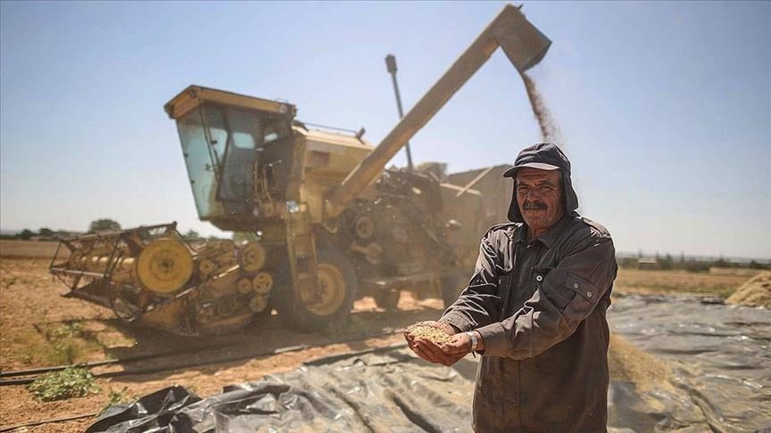 Gazze’de geliştirilen biçerdöver hem çiftçiyi hem de cebini koruyor