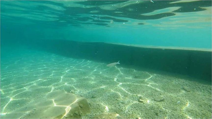 Muğla’da deniz tabanına yapılan beton duvarlarla ilgili inceleme başlatıldı