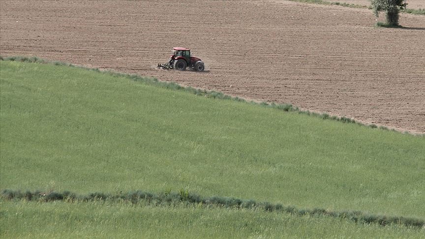 Hazineye ait tarım arazileri topraksız ve yeterli toprağı olmayan çiftçilere kiralanacak