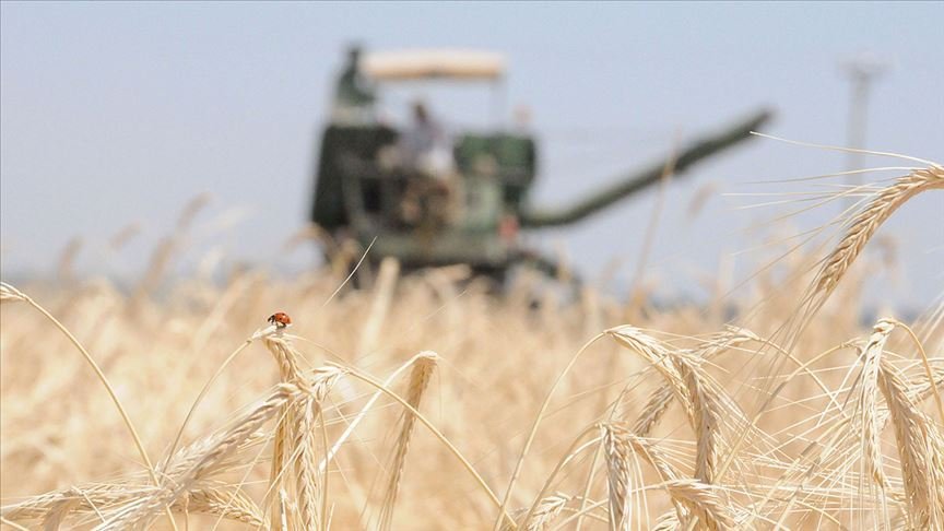 Tarım Kredi çiftçilerden 9 ayda 1,6 milyar liralık ürün aldı