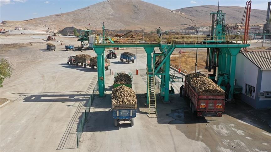 Elbistan’da 50 bin ton şeker üretilmesi hedefleniyor