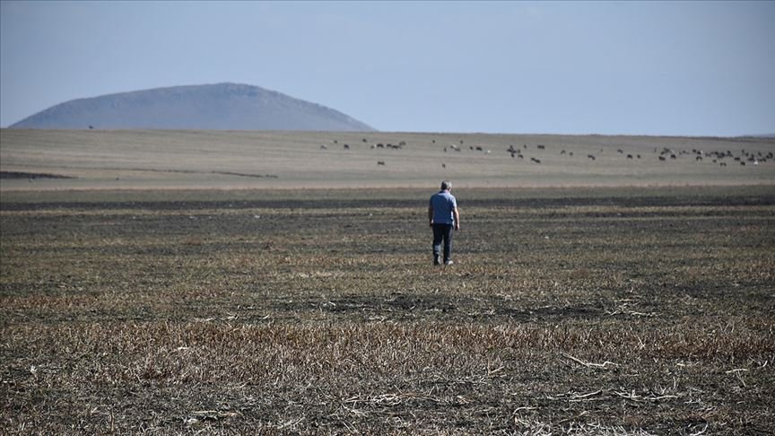 Türkiye’nin 13. Ramsar Alanı Kuyucuk Gölü tekrar kurudu
