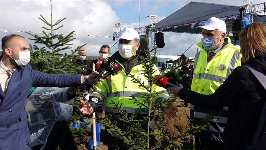 İstanbul’da Milli Ağaçlandırma Günü’nde 160 bin 771 fidan toprakla buluştu
