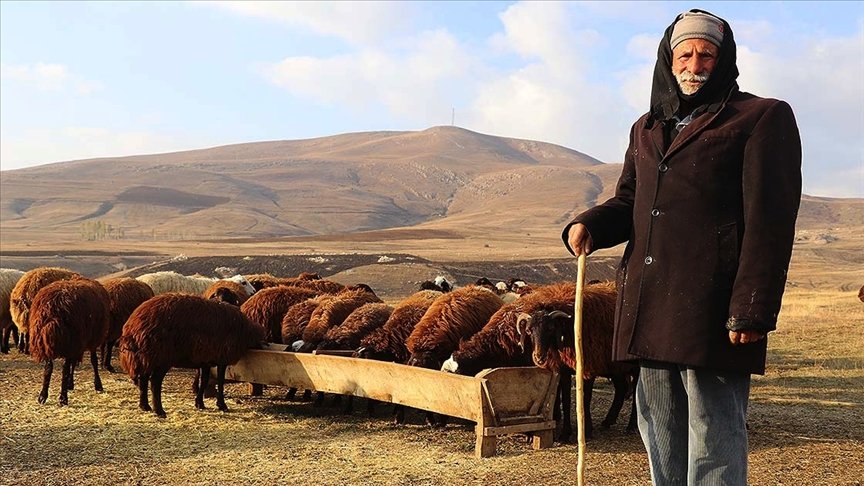 Yılın yarısını koyunlarıyla kırsalda yalnız geçiriyor
