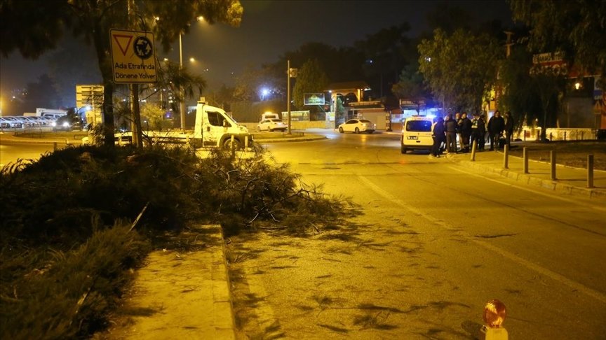 İzmir’de refüjdeki ağaca çarpan kamyonun sürücüsü yaralandı