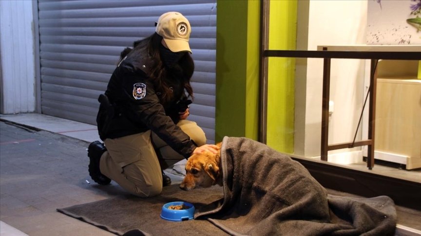 Uşak’ta polis ekipleri bazı sokak hayvanlarını battaniyeye sardı