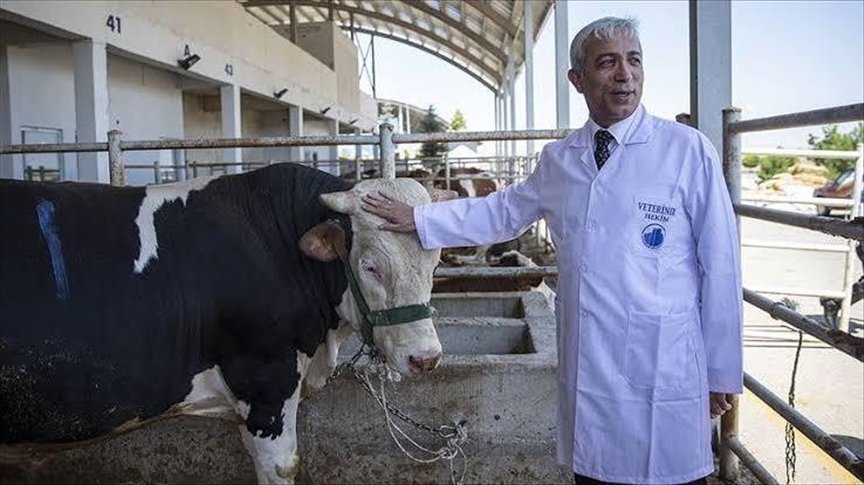 Veteriner hekimlere uzmanlık eğitimi