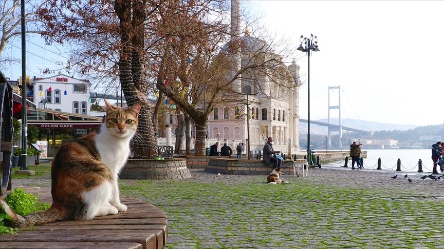 Marmara Bölgesi’nde sıcaklık 2 ila 4 derece artacak