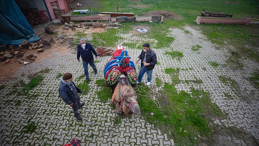 Manisalı aile dededen toruna 3 kuşaktır deveciliği yaşatıyor