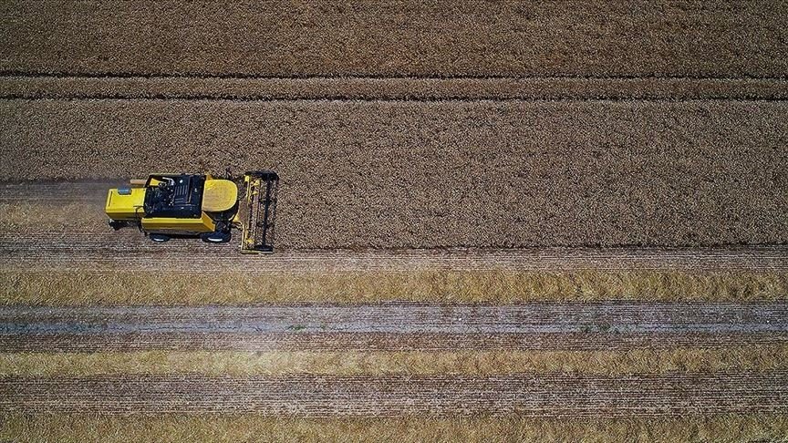 Tarımsal girdi fiyat endeksi Aralık 2020’de arttı