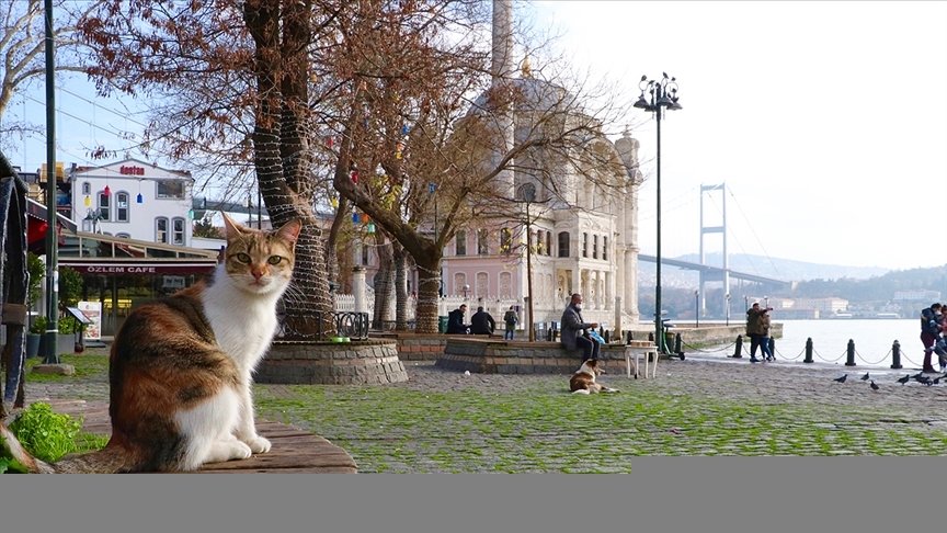Marmara Bölgesi’nde hava sıcaklığının mevsim normallerinin üzerinde olması bekleniyor