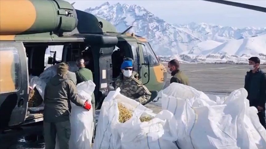 Mehmetçik Hakkari’de Sümbül Dağı’ndaki dağ keçilerine havadan yem bıraktı
