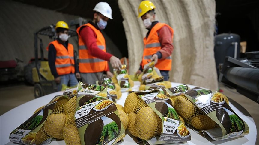 Nevşehir’de laboratuvarda analiz edilen patates pişirme amacına göre paketleniyor