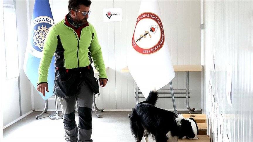 Özel eğitimli köpek ‘Zippo’ Kovid-19 virüsünü kokudan tespit ediyor