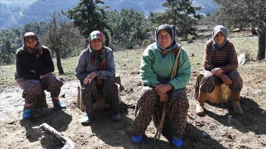 Antalya’da 11 kız kardeşli 70 yaşındaki kadının 62 yıllık çobanlık hikayesi ilgi çekiyor