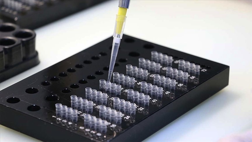 Türkiye’de son 24 saatte 14 bin 46 kişinin testi pozitif çıktı, 63 kişi hayatını kaybetti