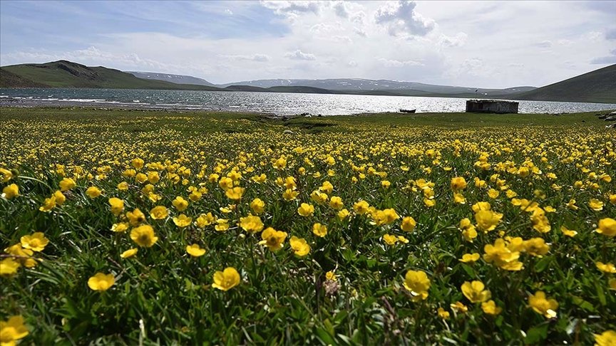 Nevruz’un habercisi son cemre bugün toprağa düşüyor