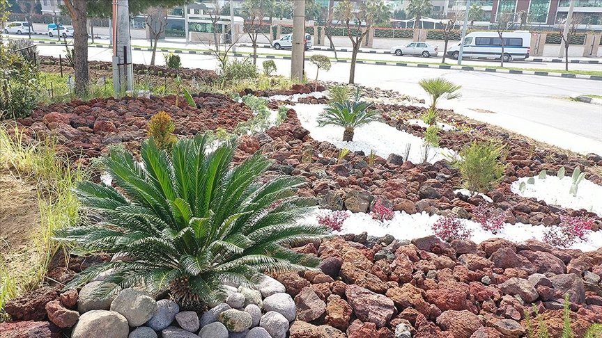 Manisa’da su tasarrufu için uygulanan ‘kaya bahçeleri’ yaygınlaşıyor