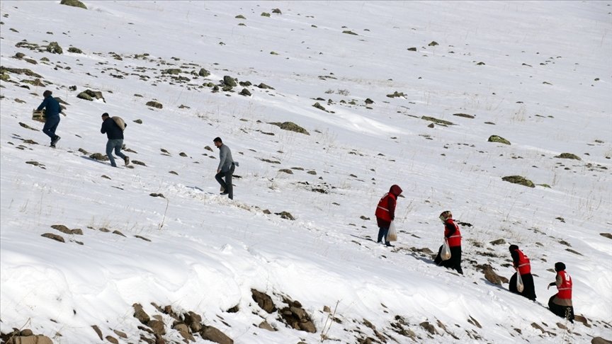 Ağrı’da yabani hayvanlar için karlı dağlara yem bırakıldı