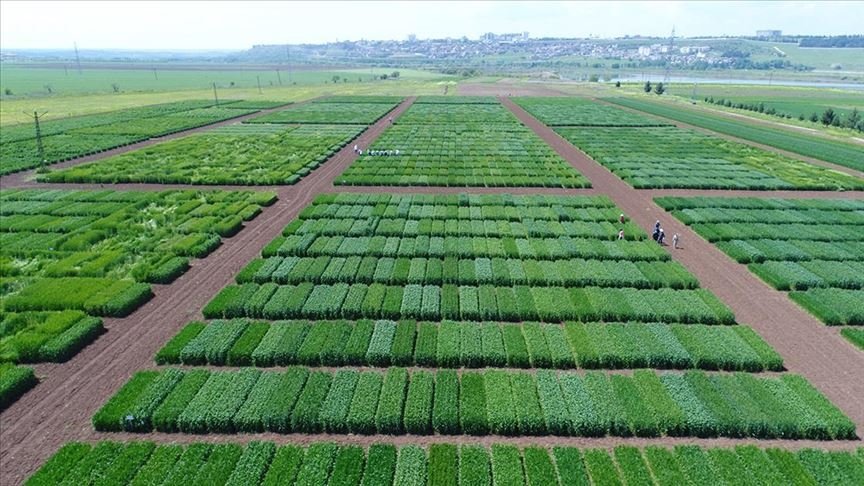 TAGEM’den tarımsal Ar-Ge projelerine 100 milyon liralık destek