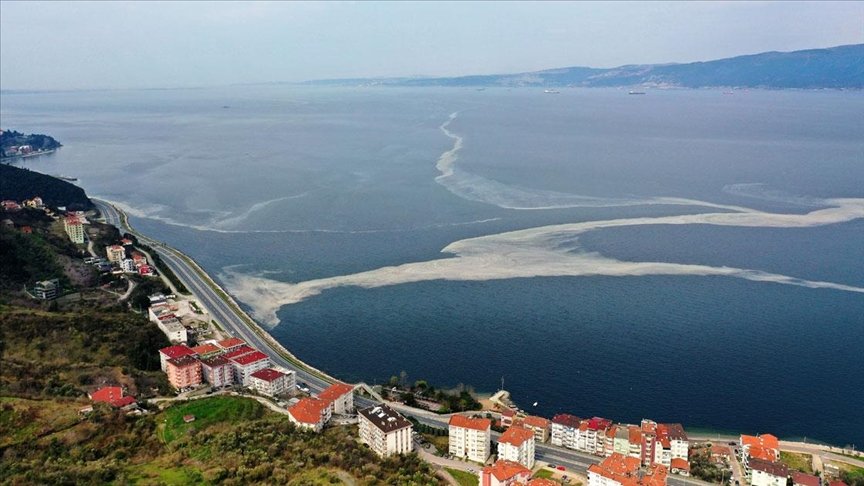 İzmit Körfezi’nde deniz salyası beyaz tabaka oluşturdu