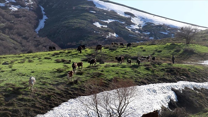 Bahar Ağrı’da görsel şölen sunuyor