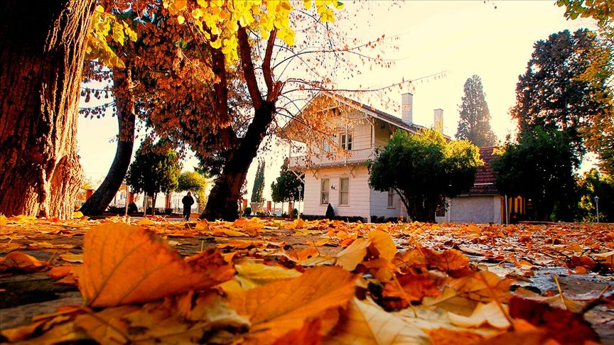 ‘Osman Hamdi Bey Evi ve Müzesi’ Kültür ve Turizm Bakanlığının ‘prestij müzesi’ olacak