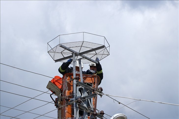 Tekirdağ’da leyleklerin akıma kapılmaması için elektrik direklerine özel platformlar kuruluyor