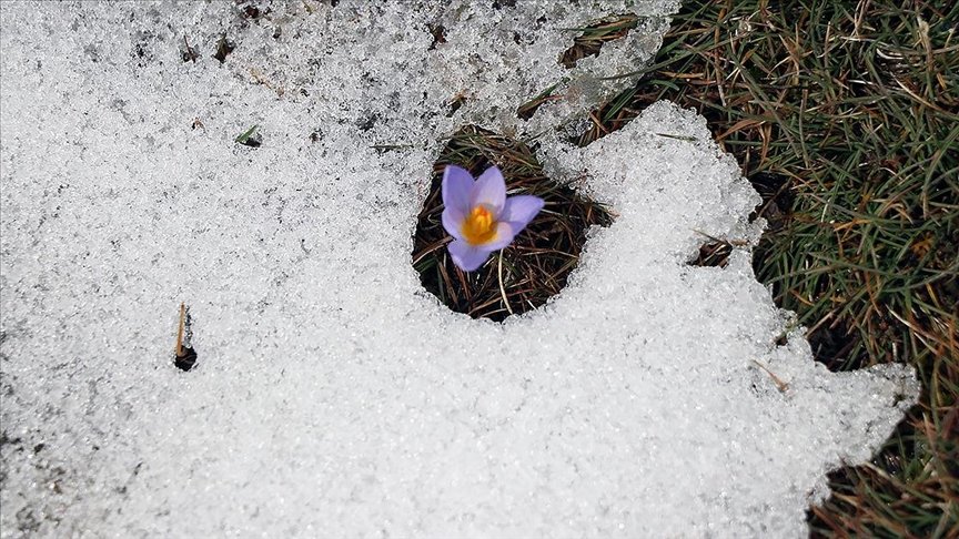 Bolu’da iki mevsim bir arada yaşanıyor
