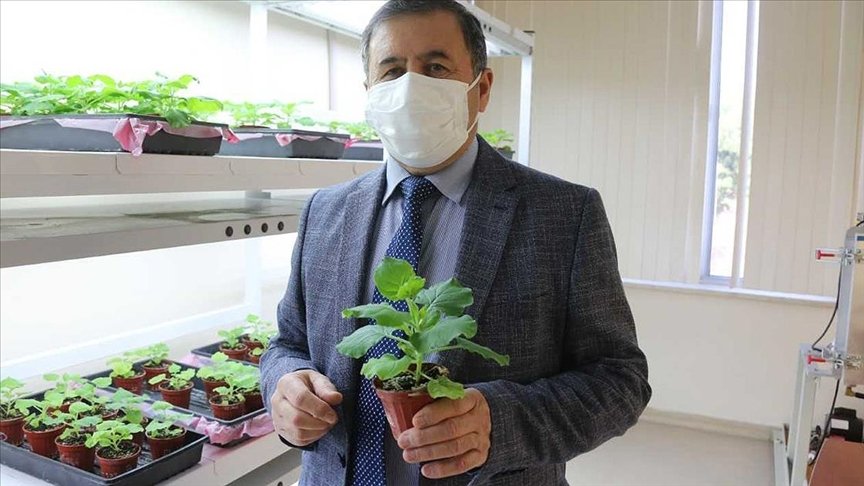 Akdeniz Üniversitesi Kovid-19’a karşı ilaç ve aşı adayı geliştirildiğini açıkladı