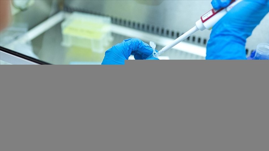 Tamamen iyileşen kanser türlerinin sayısı gün geçtikçe artıyor