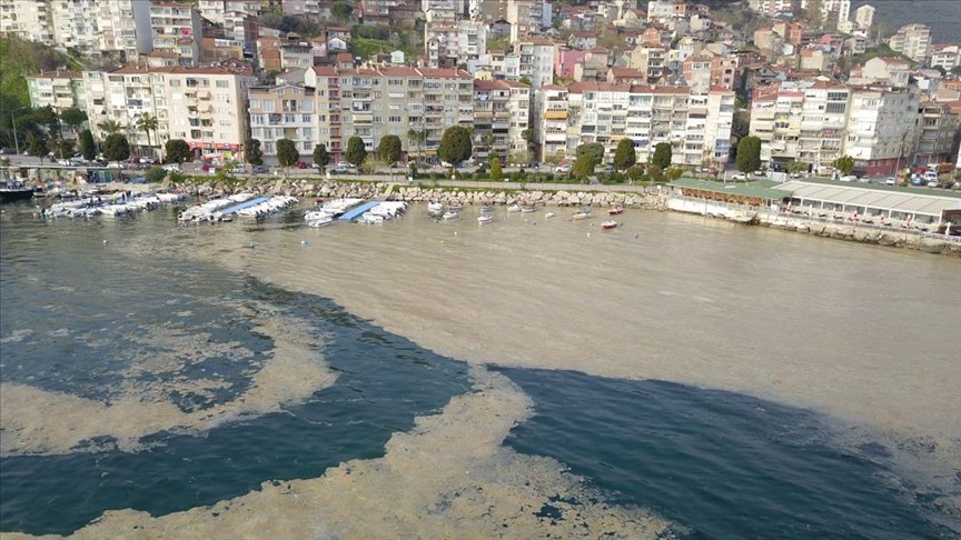 Bursa’da, plankton çoğalması deniz suyu kahverengiye dönüştürdü