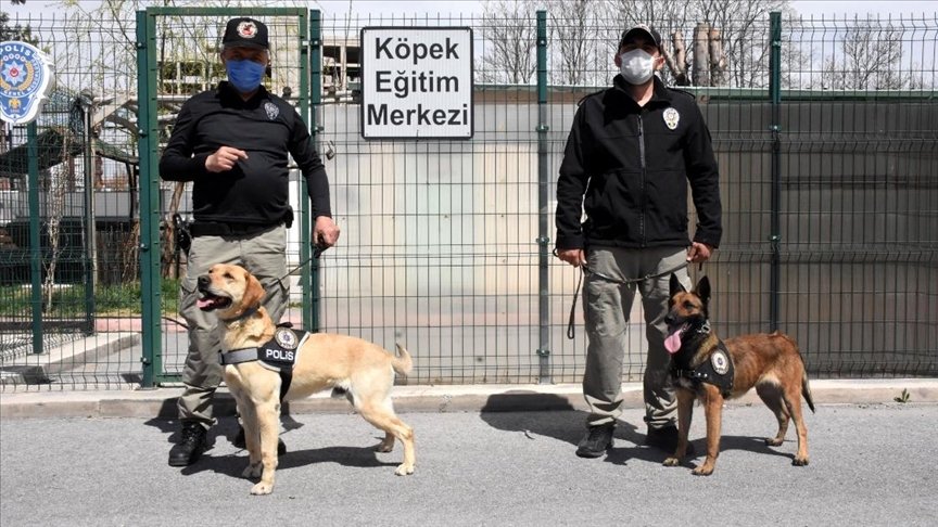 Emniyetin hassas burunları ‘Jack’ ve ‘Athena’ zehir tacirlerine geçit vermiyor