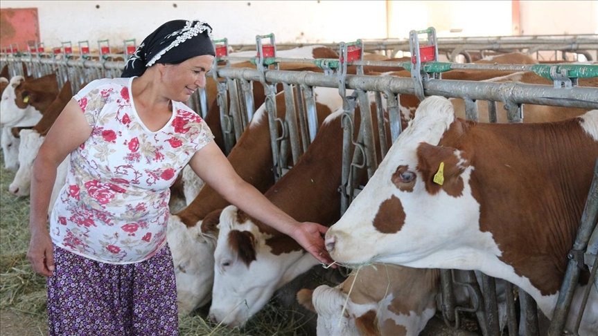 Çorum’da kadın çiftçi, vefat eden eşinin TKDK hibesiyle kurduğu tesisi daha da büyüttü