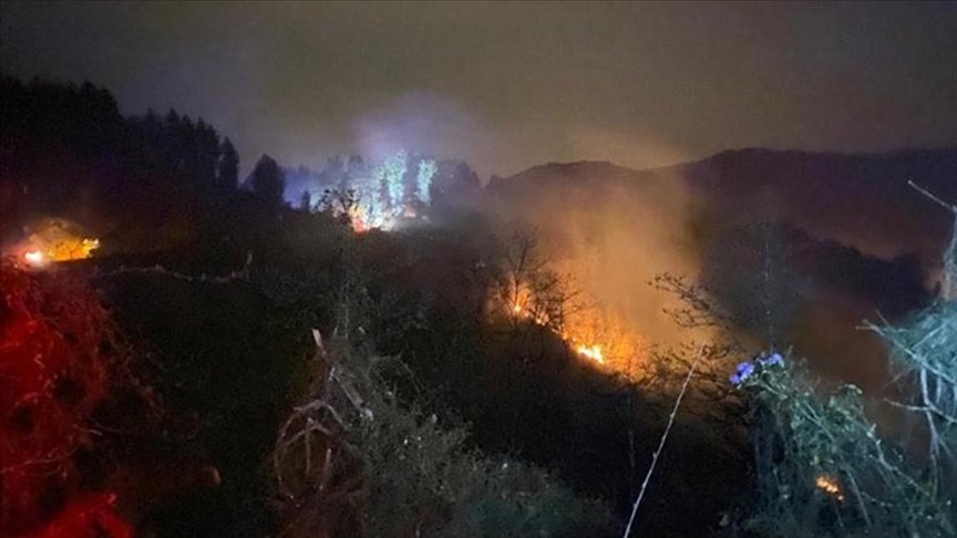 Rize’de orman yangını çıktı