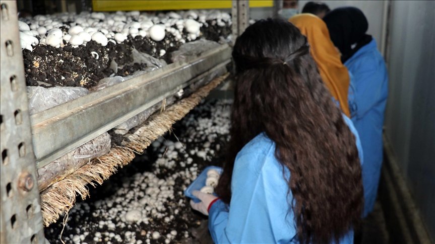 Karabük’te gençler mesleki eğitim kursuyla ‘altın bilezik’ sahibi oluyor