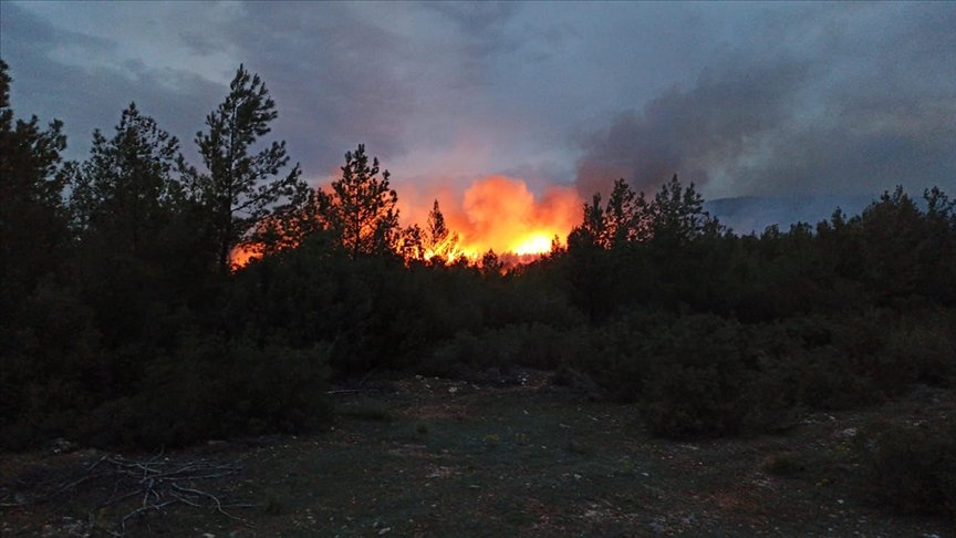 Muğla’da çıkan orman yangınlarına müdahale ediliyor