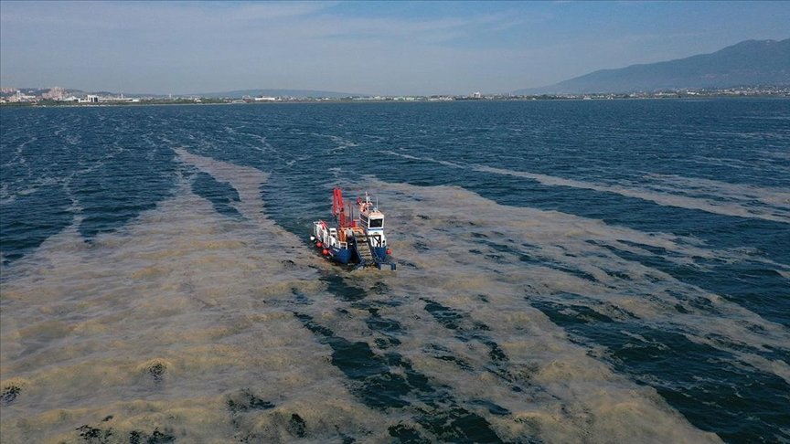 İzmit Körfezi’nden 100 ton deniz salyası temizlendi